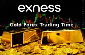 エクセンスゴールドforexトレード時間